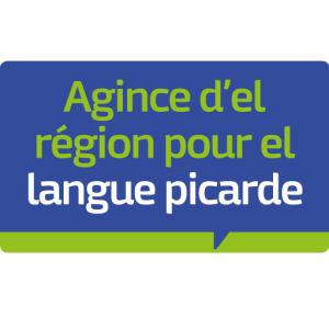 LOGO flag