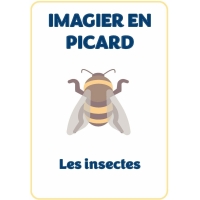 Imagier Les insectes pdf.jpg
